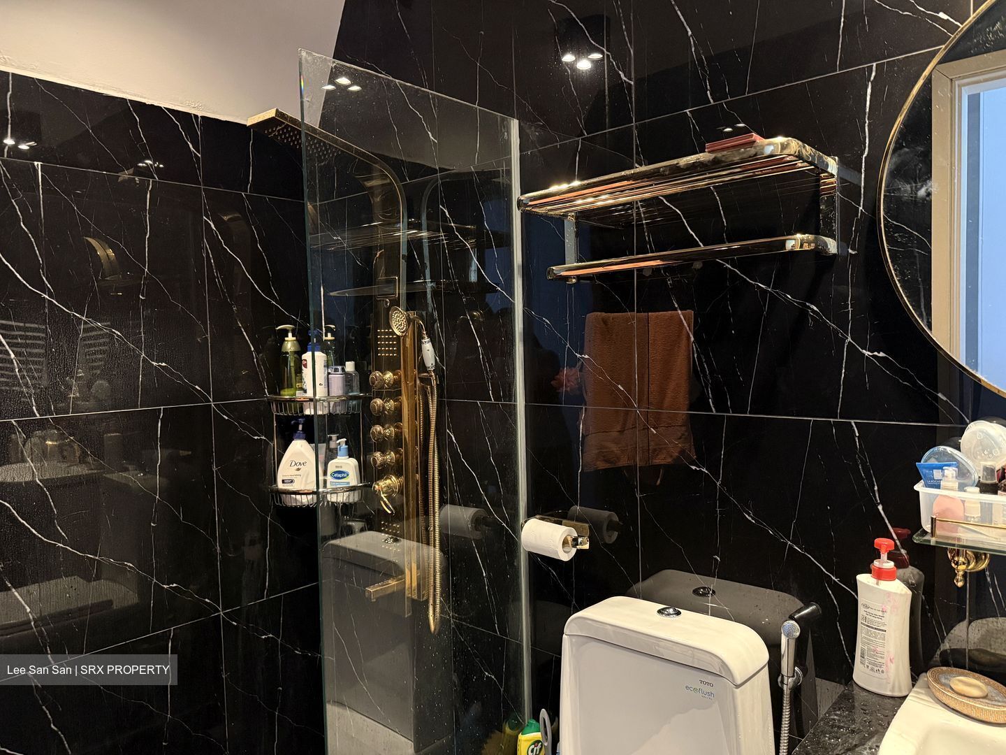 Le Reve (D14), Condominium #588206461